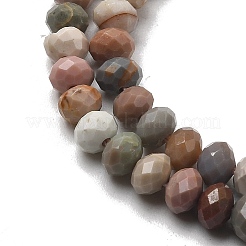 Natural Alashan Agate Beads Strands&nbsp;G-C127-B01-01
