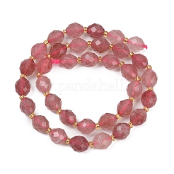 Natural Strawberry Quartz Beads Strands&nbsp;G-N342-149B
