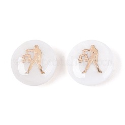 Natural Freshwater Shell Beads&nbsp;SHEL-N037-02D-G