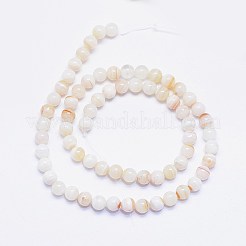 Natural Stripe Agate Beads Strands&nbsp;X-G-F425-19