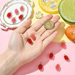 12Pcs 2 Colors Resin Pendants&nbsp;RESI-CJ0004-71