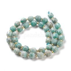 Natural Amazonite Beads Strands&nbsp;G-K303-A07-8mm