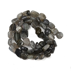天然石ラブラドライトビーズ連売り  ナゲット  タンブルストーン  8~13x8~10x3~8mm  穴：1mm  約49~50個/連  15.55~15.75''（39.5~40センチメートル）&nbsp;G-Q060-E20-02