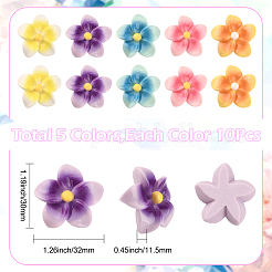 50Pcs 5 Colors Opaque Resin Cabochons&nbsp;FIND-SC0020-81