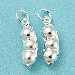 925 Sterling Silver Pendants&nbsp;STER-B002-08S
