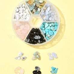 60G 6 Styles Natural & Synthetic  Gemstone Beads Chips&nbsp;G-FS0005-80