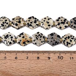 Natural Dalmatian Jasper Beads Strands&nbsp;G-N368-01A-03