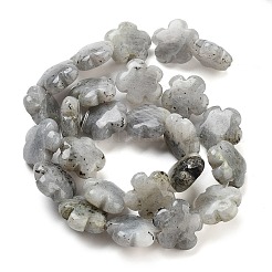 Natural Labradorite Beads Strands&nbsp;G-F769-P01-01