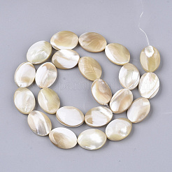 Natural Trochid Shell/Trochus Shell Beads Strands&nbsp;SSHEL-N032-05