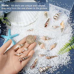 20Pcs 5 Styles Electroplate Shell Shapes Pendants&nbsp;SHEL-SC0001-58