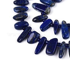 Natural Lapis Lazuli Beads Strands&nbsp;G-Z091-A23