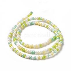Glass Seed Bead Strands&nbsp;LAMP-B021-04B