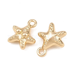 Alloy Charms&nbsp;AL-CBA83D5-04G
