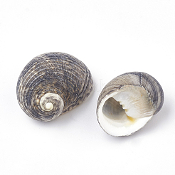 Spiral Shell Beads&nbsp;LS-SSHEL-R036-33