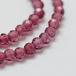 Natural Garnet Bead Strands&nbsp;G-P271-3mm-05