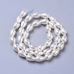 Polished Shell Pearl Beads Strands&nbsp;X-BSHE-L042-A02