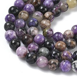 Natural Charoite Beads Strands&nbsp;G-C270-O03-02