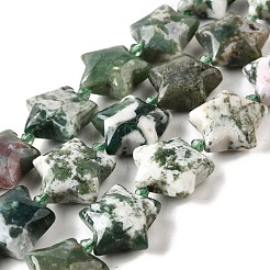 Natural Tree Agate Beads Strands&nbsp;G-U023-C01-08