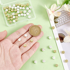 4スタイルラックメッキ合金ビーズ  花  ゴールデン＆シルバー  6~7x6.5~7x5mm  穴：1~1.2mm  15個/スタイル&nbsp;FIND-PH0022-64