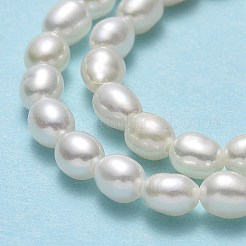 Natural Cultured Freshwater Pearl Beads Strands&nbsp;PEAR-J006-03A