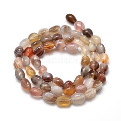 Natural Botswana Agate Nuggets Beads Strands&nbsp;G-J335-07