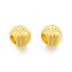 Alloy European Beads&nbsp;FIND-A017-43MG