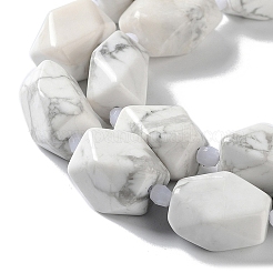 Natural Howlite Beads Strands&nbsp;G-C182-23-02