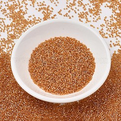 MIYUKI Delica Beads&nbsp;SEED-X0054-DB1702