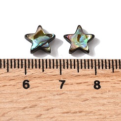 Natural Abalone Shell/Paua Shell Beads&nbsp;SHEL-B003-12