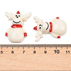 Christmas Opaque Resin Cabochons&nbsp;RESI-XCP0002-66D