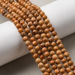 Natural Maifanite/Maifan Stone Beads Strands&nbsp;G-P451-01C-B