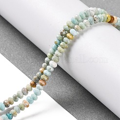 Natural Howlite Beads Strands&nbsp;G-H025-03B-06