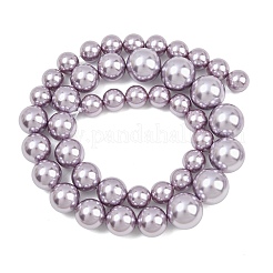 Electroplated Shell Pearl Graduated Beads Strands&nbsp;BSHE-C011-04-03