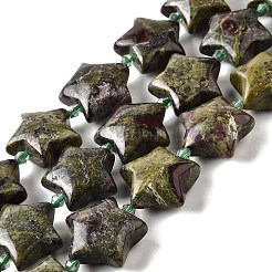 Natural Dragon Blood Beads Strands&nbsp;G-U023-C01-07