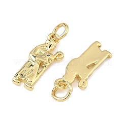Brass Pendants&nbsp;KK-B170-21G