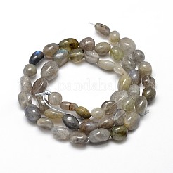Natural Labradorite Nuggets Beads Strands&nbsp;X-G-J335-40
