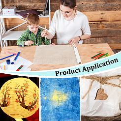 20M Cicada Wing Paper Roll for Calligraphy Painting&nbsp;DIY-BC0017-39A