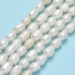 天然養殖淡水パールビーズ連売り  ライス  リネン  4.5~5.5x3.5~4.5mm  穴：0.6mm  約62~66個/連  13.39