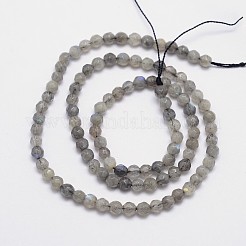 Faceted Round Natural Labradorite Bead Strands&nbsp;G-I156-03-4mm