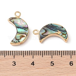 天然パウアシェルペンダント  真鍮の縁取りの月のチャーム  ゴールドカラー  19x11x3.5mm  穴：1.8mm&nbsp;SHEL-P017-24G