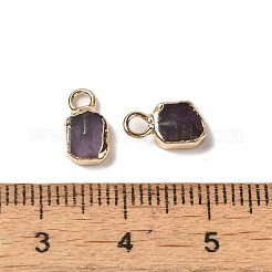 天然アメジスト長方形チャーム  ゴールデントーンの真鍮の縁を持つ  9.5x5x2.5mm  穴：2mm&nbsp;G-Q169-07G-09