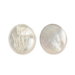 Natural Sea Shell Cabochons&nbsp;SSHEL-T012-14