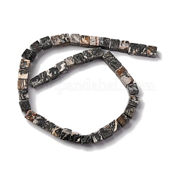 Natural Map Stone Beads Strands&nbsp;X-G-T139-8x8-45A