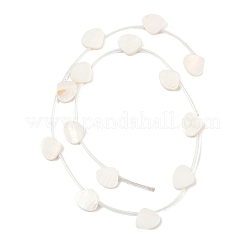 Natural Freshwater Shell Beads Strands&nbsp;SHEL-B005-05