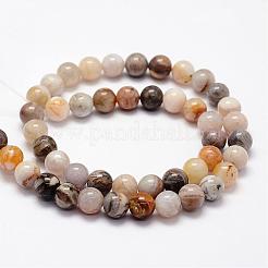 Natural Bamboo Leaf Agate Beads Strands&nbsp;G-F364-02-8mm