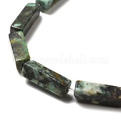 Natural African Turquoise(Jasper) Beads Strands&nbsp;G-F729-01