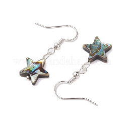 Natural Abalone Shell/Paua Shell Dangle Earring&nbsp;EJEW-JE05915