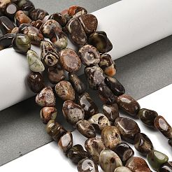 Natural Ocean Jasper Beads Strands&nbsp;G-P497-01E-76
