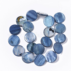 Freshwater Shell Beads Strands&nbsp;SHEL-T014-011B
