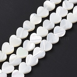 Natural Trochus Shell Beads Strands&nbsp;SSHEL-H070-06B